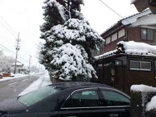 クリスマス寒波