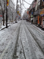よく降りました