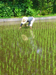 入善つうしん