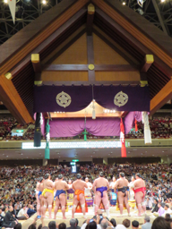 大相撲5月場所