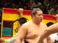 大相撲5月場所