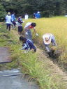 実りの収穫 in Nyuzen